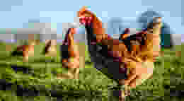 Shutterstock 1695190498