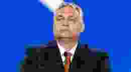 Shutterstock 2186586881