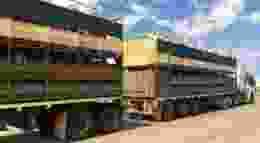 Image: ChameleonsEye / Shutterstock