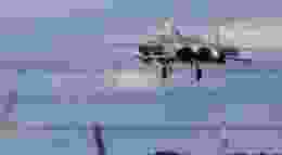 Shutterstock 2276885409