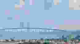 Shutterstock 2364553597