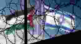 Image: Bartolomiej Pietrzyk / Shutterstock