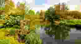 Shutterstock 2467348155 1