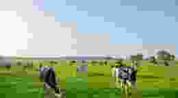 Shutterstock 2468140579