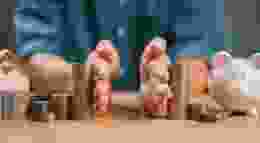 Shutterstock 2493918317