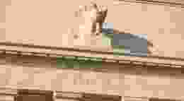 Shutterstock 252382810 3 1