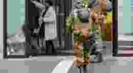 Shutterstock 581577787 1