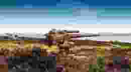 Shutterstock 704176006 1