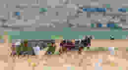 Shutterstock 716181493 1