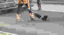 Shutterstock 730298080