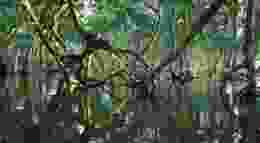 Timothy k 1 Ci E1x4d HIY unsplash