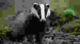 Vincent van zalinge Gv S Lk DH7 Xd I unsplash