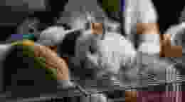 Wu yi e XBK Jgef O Vs unsplash