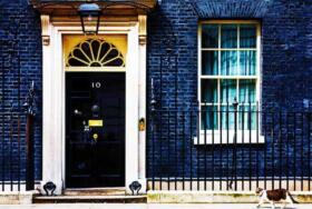 Downing Street Cat Edited