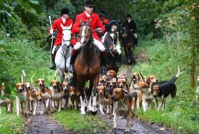 Horses and Hounds edited