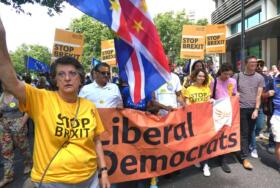 Liberal Democrats Edited