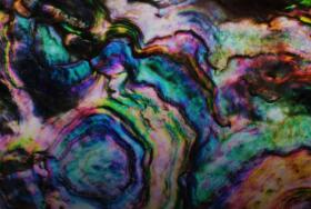 Oyster Shell Gradient