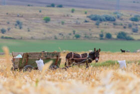 Shutterstock 716181493 1