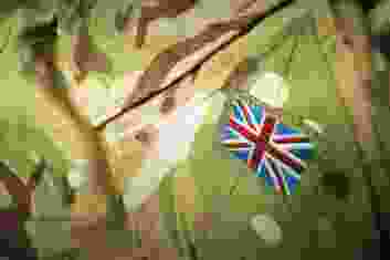 Army Camo Edited