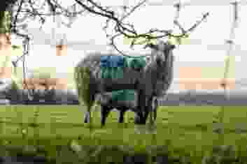 Ben collins xx Jbm Fb7rn I unsplash