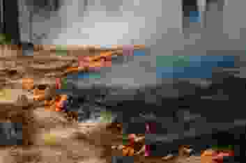 Emma renly m Qqf0yc R Ej8 unsplash