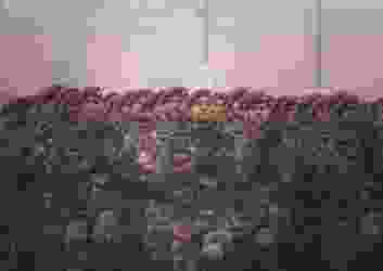 Pramod tiwari 95w V499 Ijqg unsplash