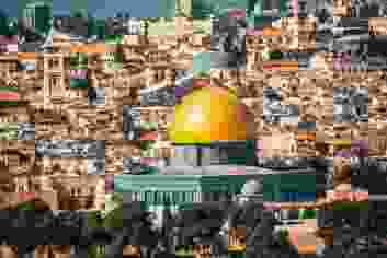 Raimond klavins 030 ZIU1 Rook unsplash