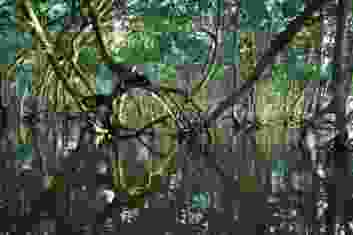 Timothy k 1 Ci E1x4d HIY unsplash