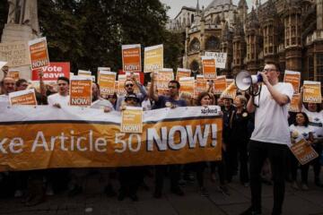 Article 50 Demo Gradient