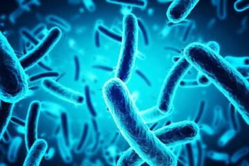Bacteria Cells Edited