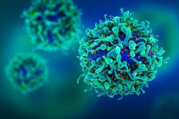 Cancer T Cells Edited