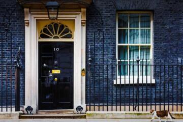Downing Street Cat Edited 1