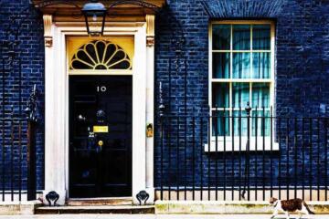Downing Street Cat Edited