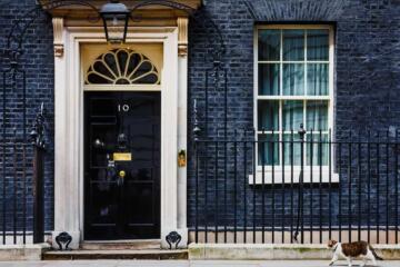 Downing Street Cat Gradient