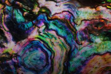 Oyster Shell Gradient
