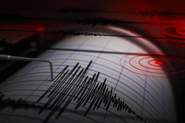 Seismograph Gradient
