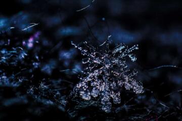 Snowflake Gradient