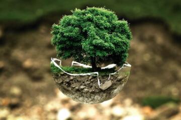 Environmental protection 683437 960 720