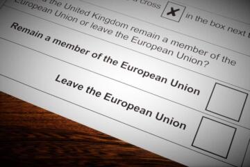 Eu ballot paper