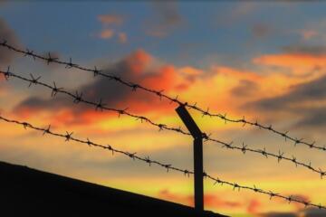Fence