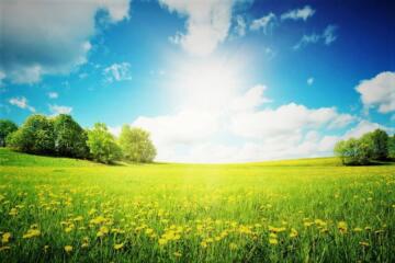 Sunlit uplands