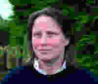 Henrietta Appleton, Comment Central contributor