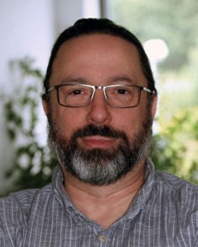 Guido Voigt, Comment Central contributor