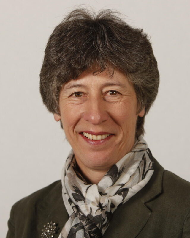 Liz Smith, Comment Central contributor