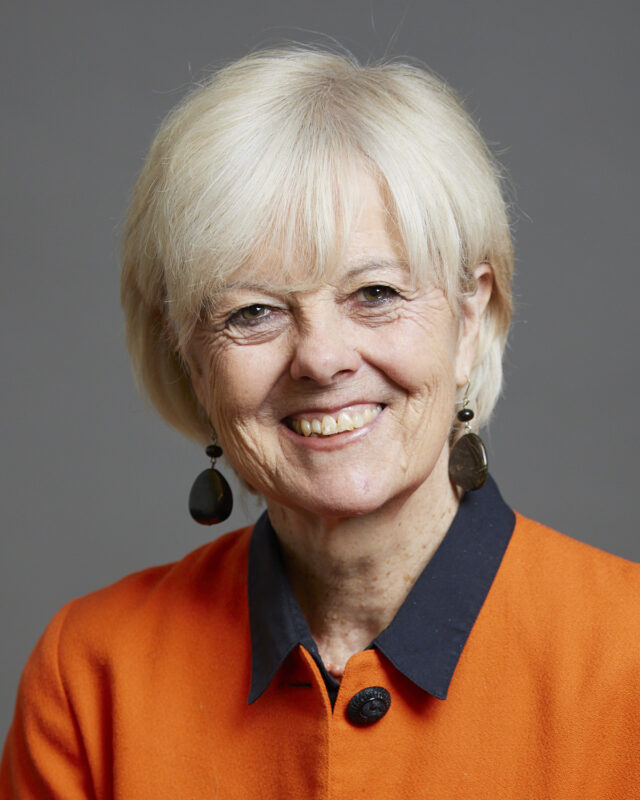 Baroness Dianne Hayter, Comment Central contributor