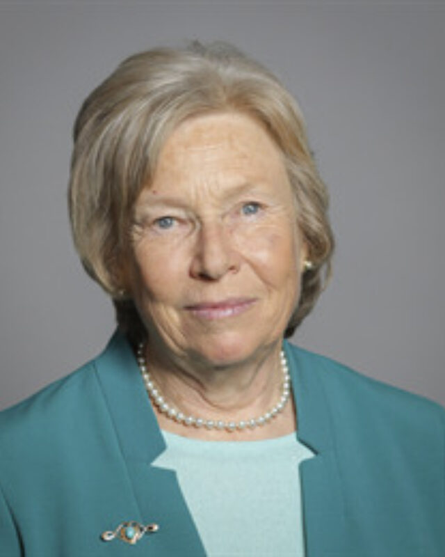 Baroness Joyce Quin, Comment Central contributor