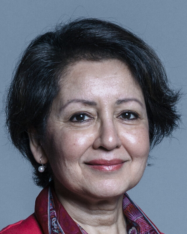 Baroness Sheehan, Comment Central contributor