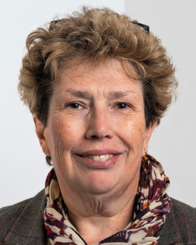 Liz Blacklock, Comment Central contributor