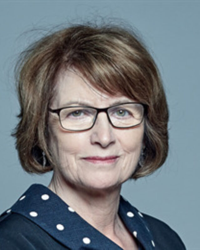 Dame Louise Ellman, Comment Central contributor