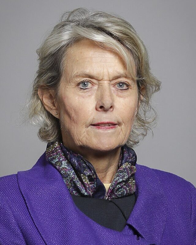 Baroness Anne McIntosh, Comment Central contributor